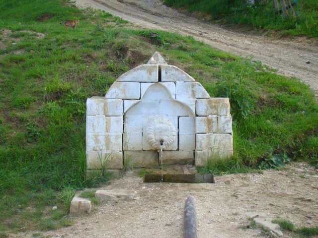 Чуни
