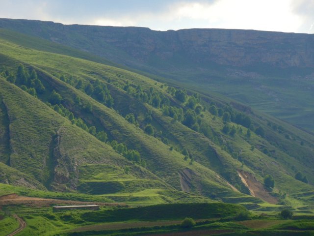 Чуни
