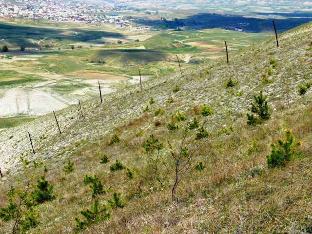 Какамахи